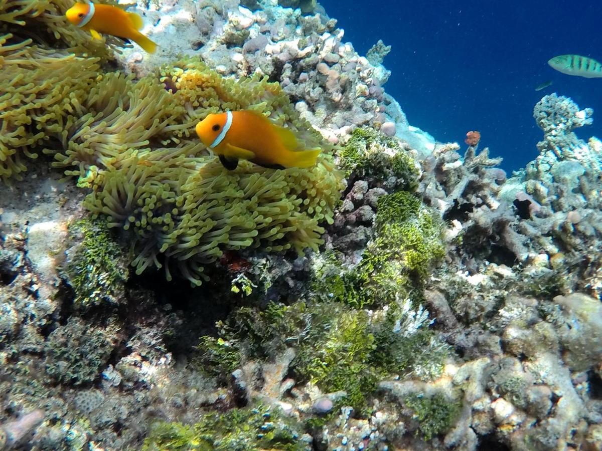 Atoll Residence Dhangethi Exteriér fotografie
